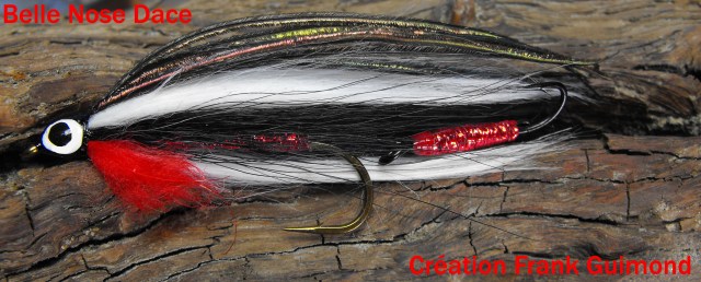 belle nose dace  tandem