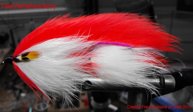 frank parmachene bunny