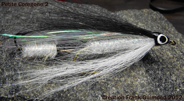 petite coregone 2