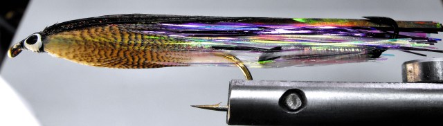 walter du sorcier mouillé 2