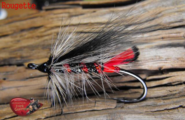 1398072_10151833779791969_1090932437_o