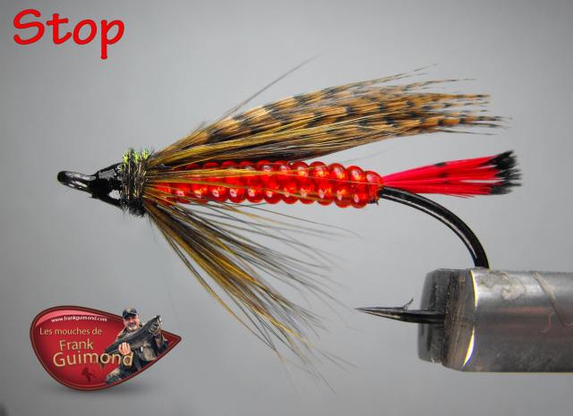 1501161_10151907027581969_1624297221_o