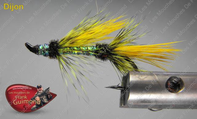 1597256_10152007320296969_1441610126_o