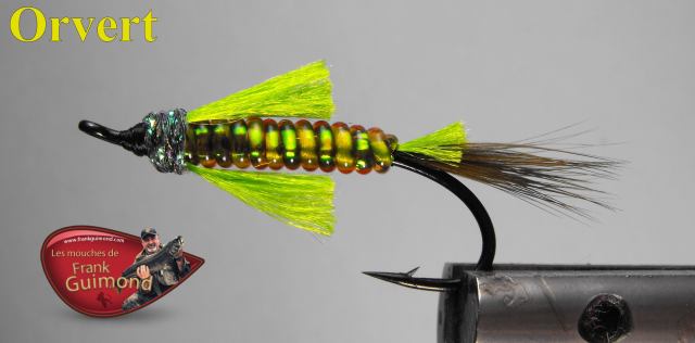 906223_10151908548616969_207176201_o