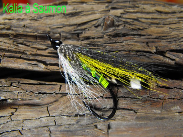 kalia a saumon