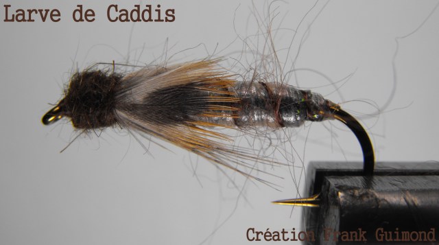 larve de caddis