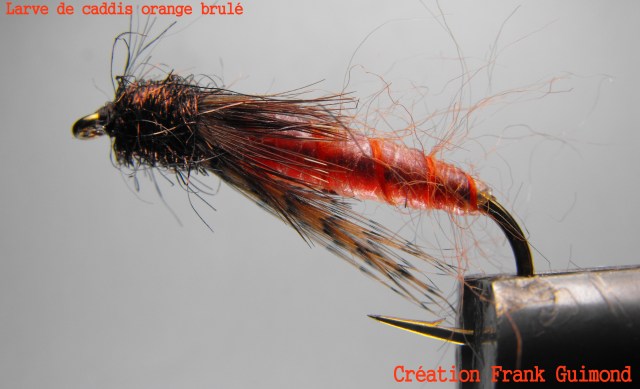 larve de caddis orange brulé