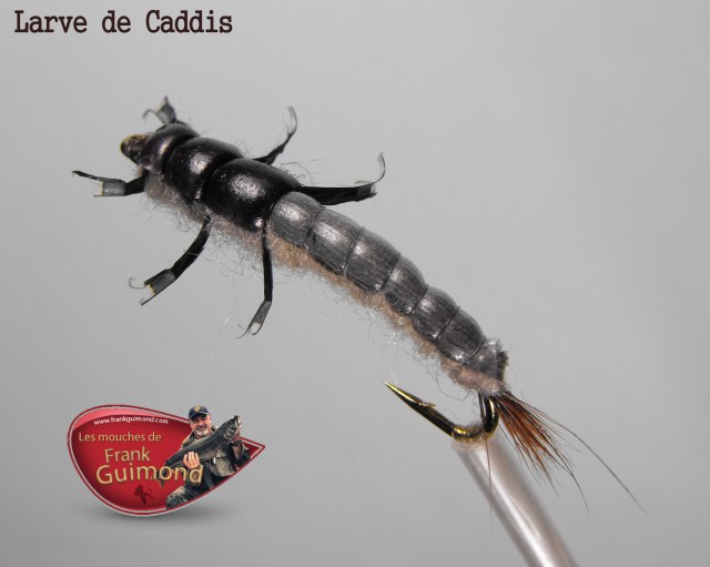 larve de caddis