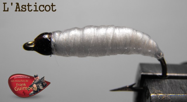 l'asticot
