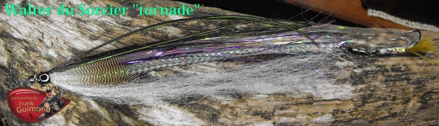 walter du sorcier tornade