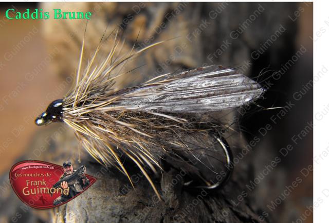 caddis brune seche