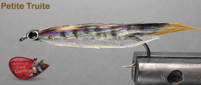 petite truite mouillée
