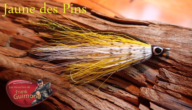jaune des pins