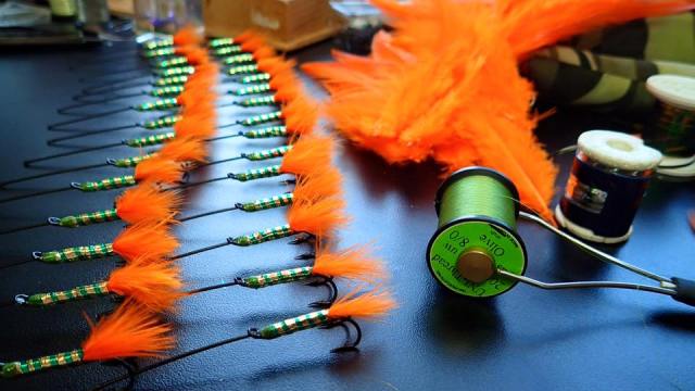 12003874_10153190978121969_469730520374997198_n