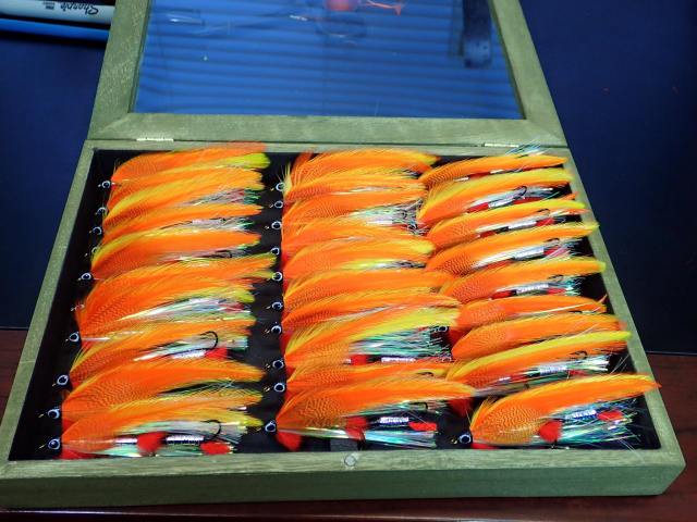 12095232_10153135586161969_1990315771826181391_o