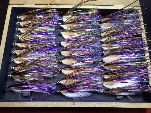 12096044_10153135471751969_3407172017999006019_n