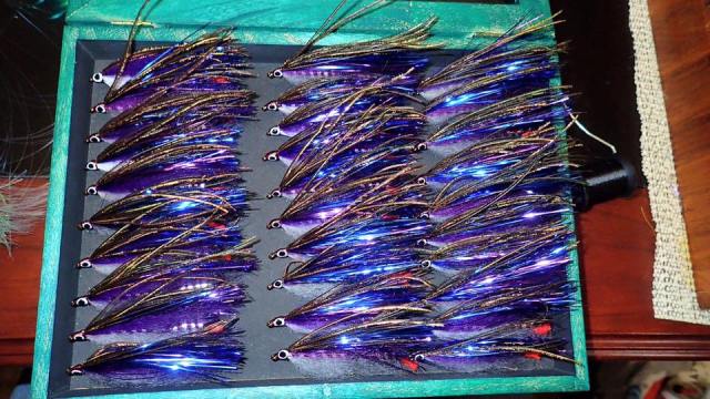 12219482_10153179656016969_5856265484655192573_n