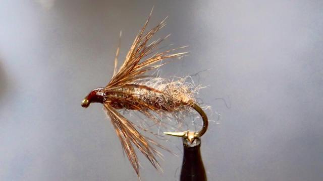 12235007_10153182197936969_4472052689929375771_n