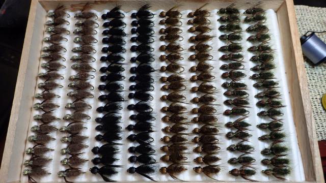 12240435_10153178772226969_6647892277331947466_o