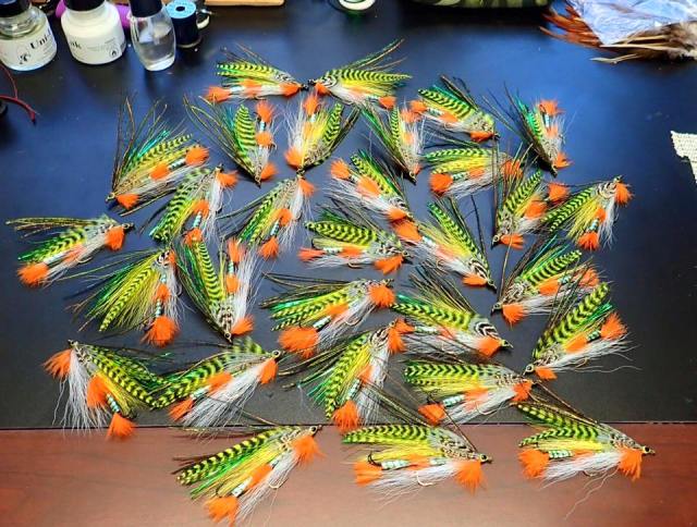 12274773_10153194117081969_900544132902500663_n