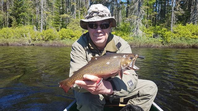 19023406_446326782410973_1492229333306833698_o