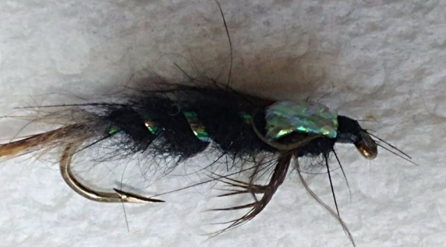 20403640_1349490701834305_119095016_n