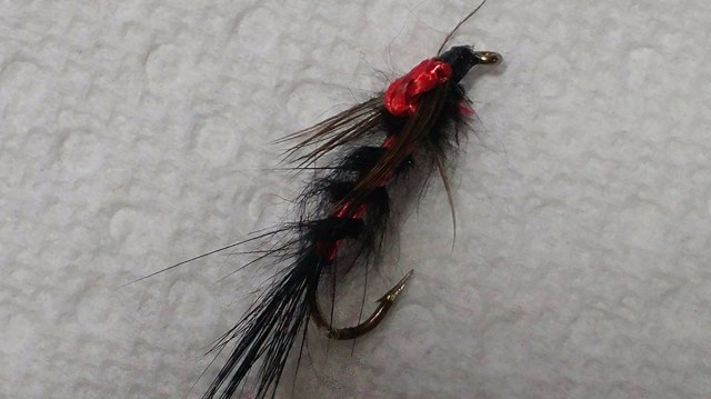 20424900_1349466638503378_1505759850_o