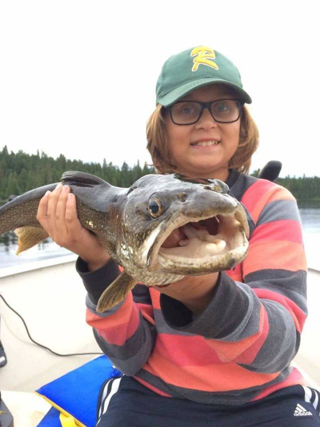 20526637_10155006154445186_1287173249_n