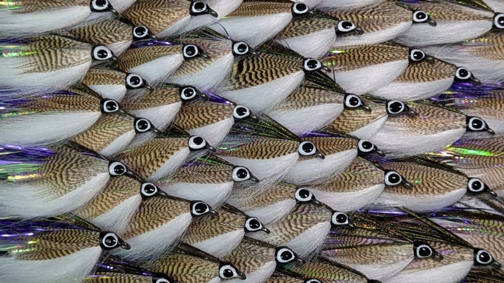 pxl_20250206_1654366474353816319441535692